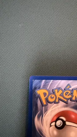Pokemon TCG Holo TERAPAGOS EX 173/142 GOLD (SV07: Stellar Crown) HYPER Rare NM - Image 4