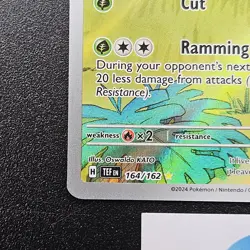 Grotle 164/162 Temporal Forces Holo Illustration Rare Pokemon Trading Card - Image 5