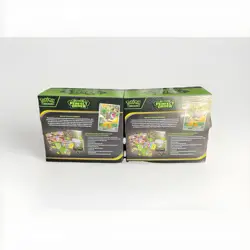Pokemon Perfect Order Pokemon Center Elite Trainer Box (LOT OF 2) - Image 2