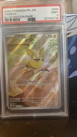 Yamper 099/094 PFL Illustration Rare Holo Phantasmal Flames Pokemon TCG PSA 9 🔥 - Image 3
