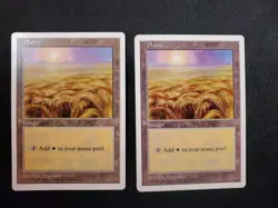 2x Plains 5th Fifth Edition #432 NM Basic Land Mana Magic The Gathering MTG - Image 1