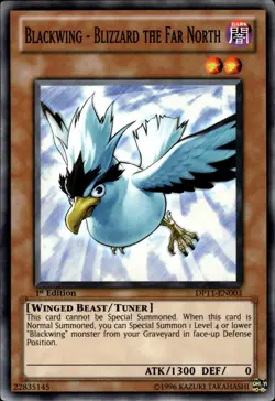 Blackwing - Blizzard The Far North - 1st Edition DP11-EN003 - MP - YuGiOh - Image 1