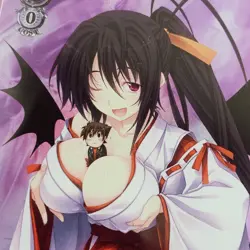 PSA 10 Weiss Schwarz Fantasia Bunko Akeno High School DxD Hero Fdd/W120-092S SR - Image 4