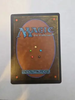 Magic The Gathering, Winter Sky, Homelands, Regular - Image 2
