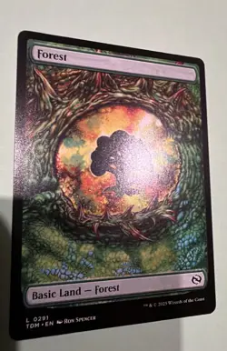 Forest (0291) Tarkir: Dragonstorm Regular Mtg M/NM - Image 1