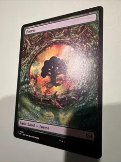 Forest (0291) Tarkir: Dragonstorm Regular Mtg M/NM - Image 4