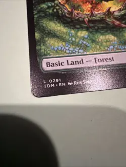 Forest (0291) Tarkir: Dragonstorm Regular Mtg M/NM - Image 5
