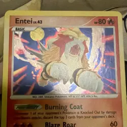 Entei Pokemon Secret Wonders 4/132 Cracked Ice Holo Rare Vintage (LP) nice!! - Image 3