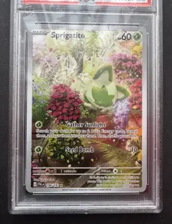 *PSA 9* Sprigatito 196/193 - Paldea Evolved - Illustration Rare - Pokemon Card - Image 3