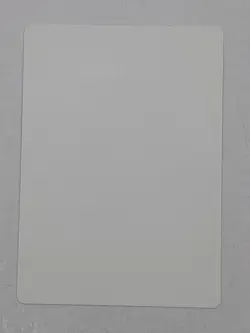 MTG Artist Proof Jhessian Infiltrator Shards of Alara Signed by Donato Giancola - Image 2