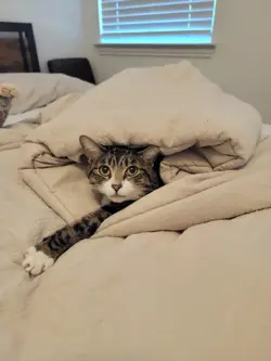 PONYTA 46/99 UNCOMMON ARCEUS POKEMON LP - Image 3