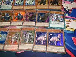 crystal beast Deck 50 Cards Yugioh Built Like Beast Locdown Deck - Image 4