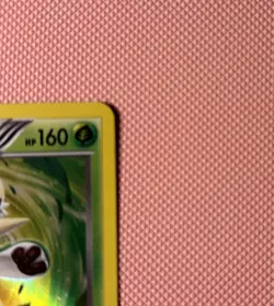 Chesnaught 14/146 XY Base Set Pokemon Card TCG - Image 4