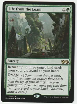 Magic: The Gathering - Life from the Loam - LP - Image 1