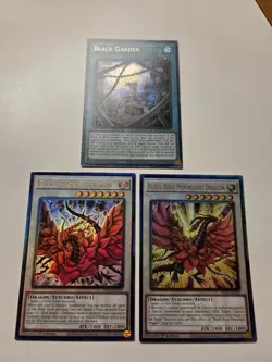 Black Garden MP25 Secret Rare + Black Rose Dragon RA04 Ultimate Rare Yugioh PUR - Image 1