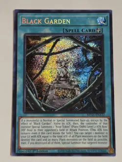 Black Garden MP25 Secret Rare + Black Rose Dragon RA04 Ultimate Rare Yugioh PUR - Image 2