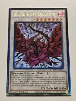 Black Garden MP25 Secret Rare + Black Rose Dragon RA04 Ultimate Rare Yugioh PUR - Image 3