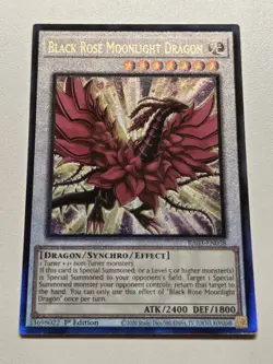 Black Garden MP25 Secret Rare + Black Rose Dragon RA04 Ultimate Rare Yugioh PUR - Image 4