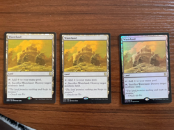 3x Wasteland Eternal Masters 1 Foil 2 Normal MTG Magic the Gathering Cards NM - Image 1