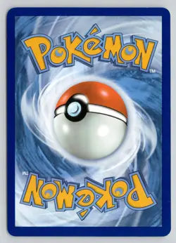 EEVEE 013/015 PROMO MCDONALD'S PROMOS 2024 POKEMON NM - Image 2