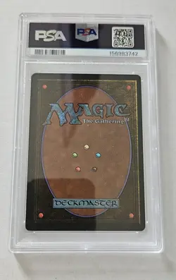 Magic the Gathering Tundra (Revised Edition) 1994 - Graded PSA 7 NM!!! - Image 2