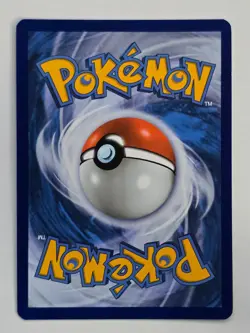 PIKACHU - 005 / 025 - Holo - NM - Celebrations - Image 2
