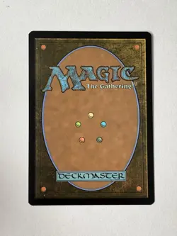 Wizards of the Coast MTG Abandoned Air Temple Avatar TLA Rare #263 Land EN - Image 2