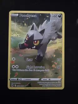 Pokemon TCG Crown Zenith Poochyena Full Art Ultra Rare Holo Card GG33/GG70 NM - Image 1