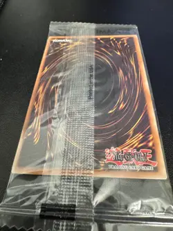 Yu-Gi-Oh! Harpie's Feather Duster 18144506 - Quarter Century Rare - 27113-Card - Image 5