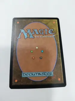 Magic the Gathering MTG Lorwyn LIGNIFY Near Mint x1 - Image 2