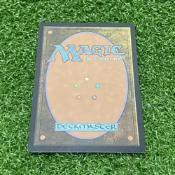 Evolution Sage Creature Elf Druid 159/264 MTG Magic the Gathering TCG 2019 - Image 2