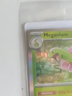 Pokemon TCG Mega Evolution STAFF STAMPED Promo Pack (4 Cards) ENGLISH SEALED - Image 3