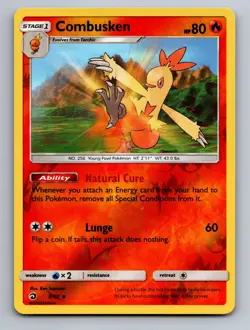Combusken 5/70 Uncommon Dragon Majesty Pokemon Reverse Holo - Image 1