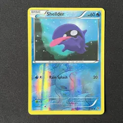 Shellder Reverse Holo 31/146 XY Base Set Pokemon Card - Image 2