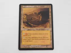 Petrified Field Odyssey Land Magic the Gathering TCG Trading Card Mtg - Image 2