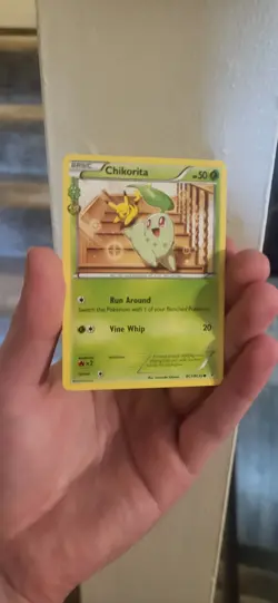 Pokemon TCG Chikorita XY Generations Radiant Collection RC1/RC32 - Image 1