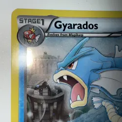 Gyarados Holo - 24/124 - Dragons Exalted - Pokemon Card - Image 3
