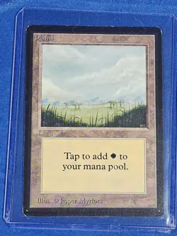 Plains (A) Beta Edition Land MAGIC: THE GATHERING MTG Moderate MP - Image 1