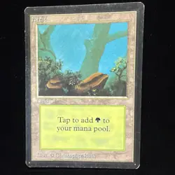 Magic the Gathering MTG Beta Forest v.2 (FOG) MP #2 - Image 1