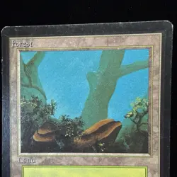 Magic the Gathering MTG Beta Forest v.2 (FOG) MP #2 - Image 2