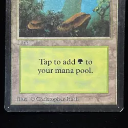 Magic the Gathering MTG Beta Forest v.2 (FOG) MP #2 - Image 3