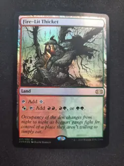 Fire-Lit Thicket - Foil - Double Masters 2020 *NM* Near Mint MTG - Image 1