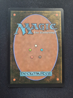 Fire-Lit Thicket - Foil - Double Masters 2020 *NM* Near Mint MTG - Image 2