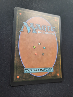 Fire-Lit Thicket - Foil - Double Masters 2020 *NM* Near Mint MTG - Image 4