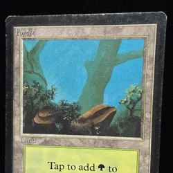 Magic the Gathering MTG Beta Forest v.2 (FOG) MP #3 - Image 2