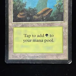 Magic the Gathering MTG Beta Forest v.2 (FOG) MP #3 - Image 3