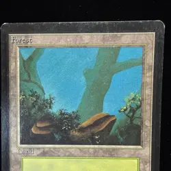 Magic the Gathering MTG Beta Forest v.2 (FOG) MP #1 - Image 2