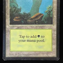 Magic the Gathering MTG Beta Forest v.2 (FOG) MP #1 - Image 3