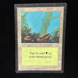 Magic the Gathering MTG Beta Forest v.2 (FOG) MP #4 - Image 1