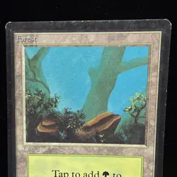 Magic the Gathering MTG Beta Forest v.2 (FOG) MP #4 - Image 2